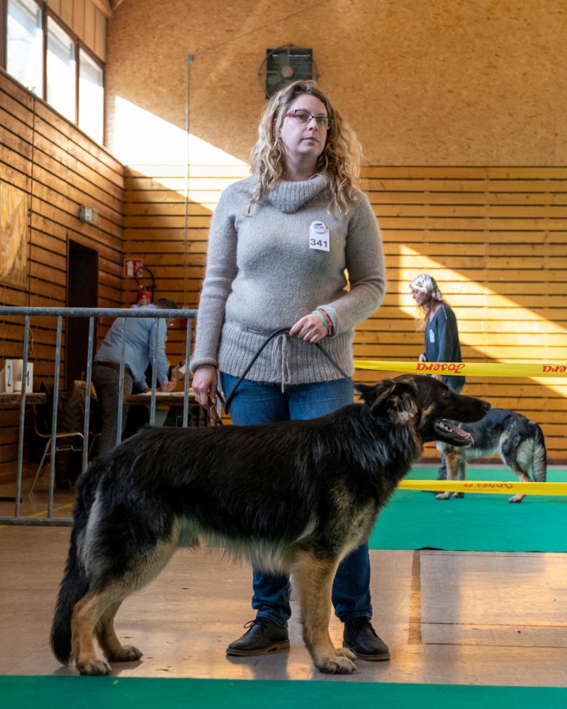 20221105_NE-Oberhaslach_2048_60