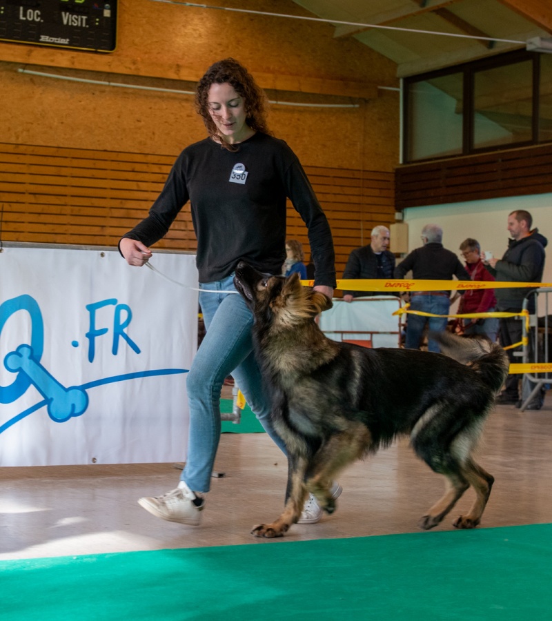20221105_NE-Oberhaslach_2048_67