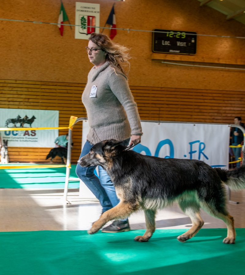 20221105_NE-Oberhaslach_2048_68