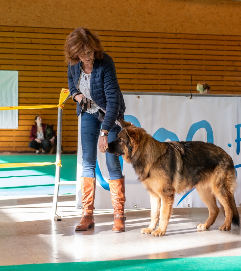 20221105_NE-Oberhaslach_2048_76