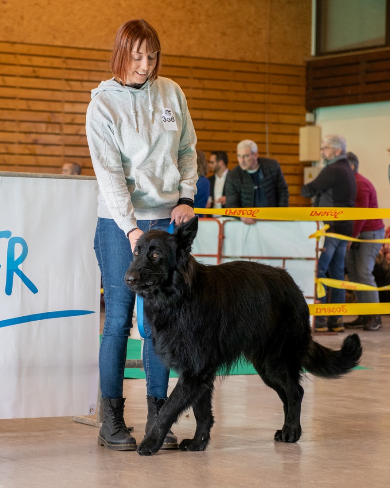 20221105_NE-Oberhaslach_2048_77