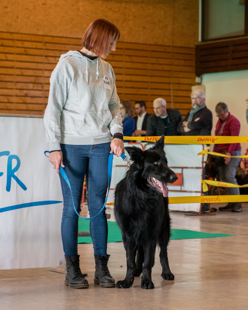 20221105_NE-Oberhaslach_2048_78