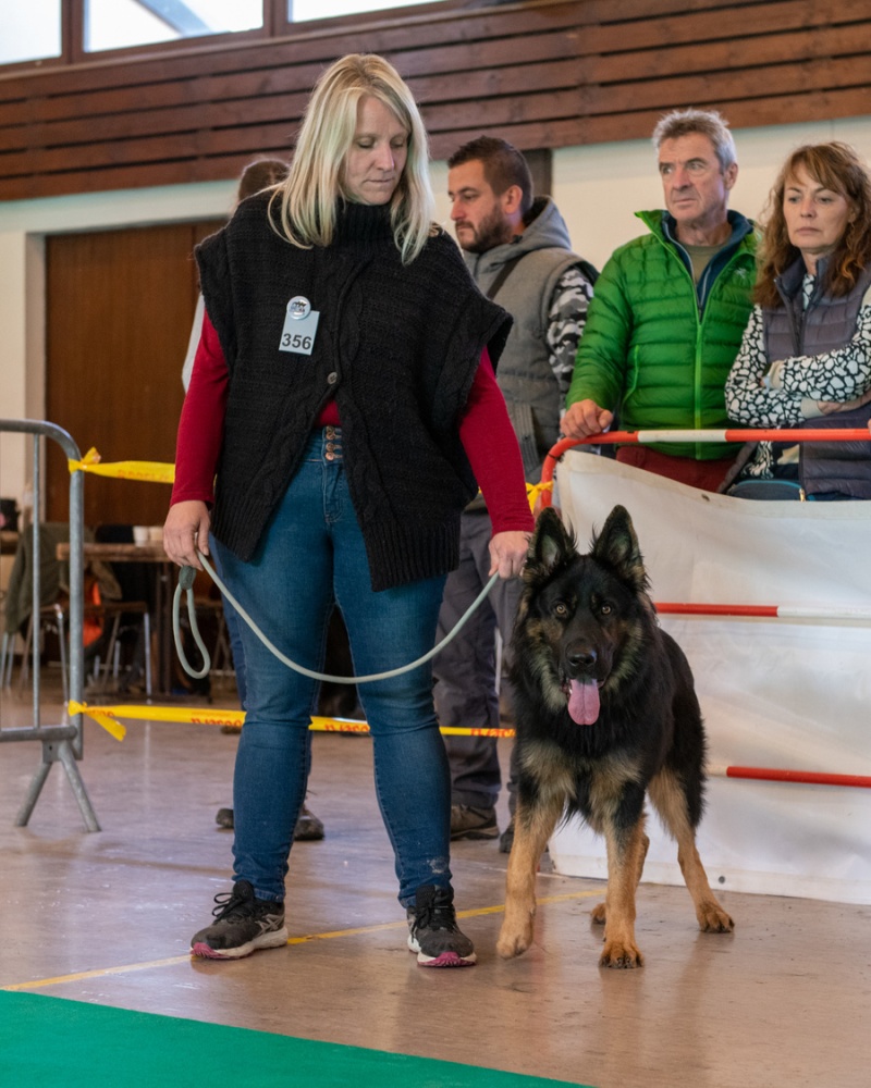20221105_NE-Oberhaslach_2048_83