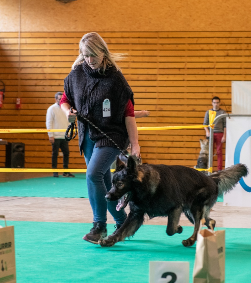 20221105_NE-Oberhaslach_2048_86