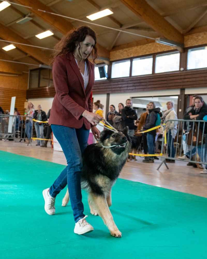 20221105_NE-Oberhaslach_2048_88
