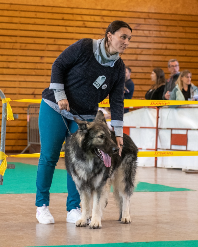 20221105_NE-Oberhaslach_2048_95