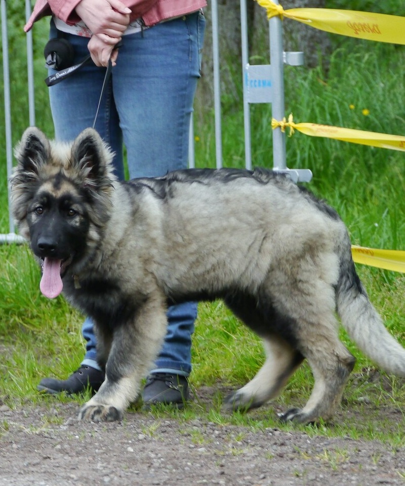 Max 2