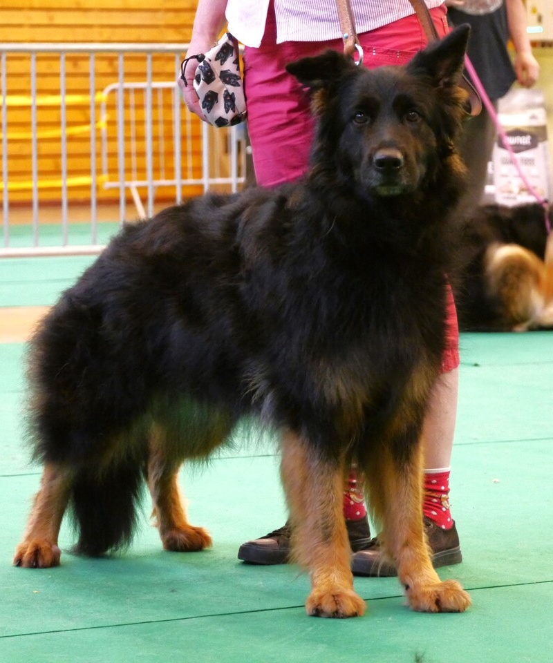 Naja 10