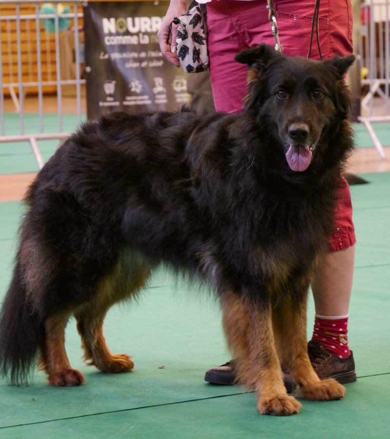Naja 6