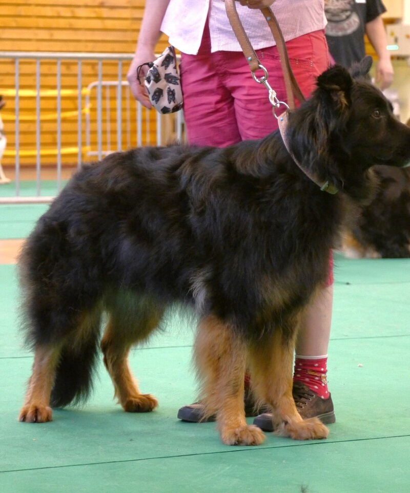 Naja 8