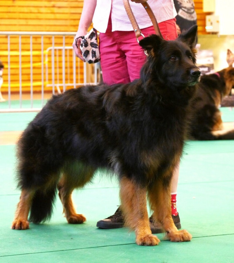 Naja 9