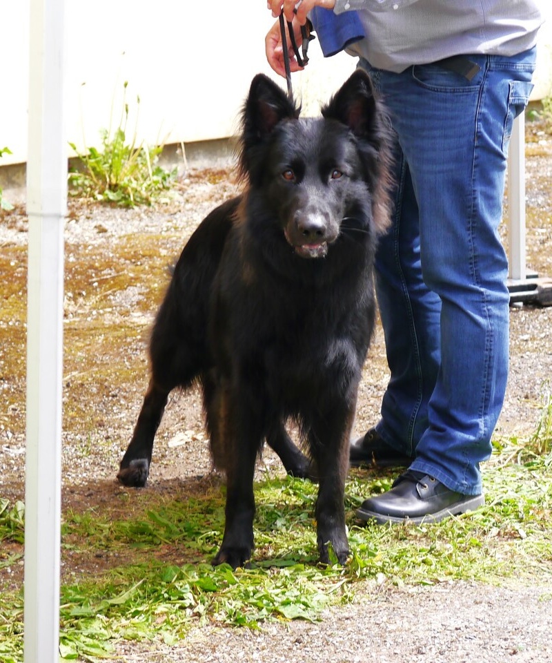 Sirius 6