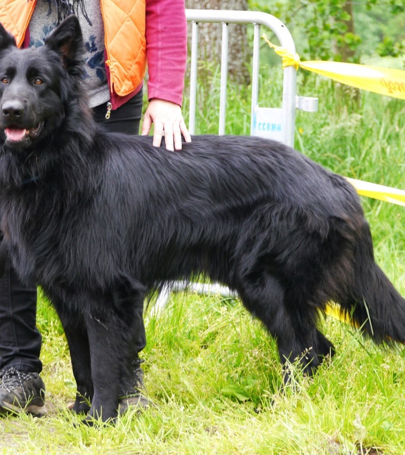 Thornbjörn 1