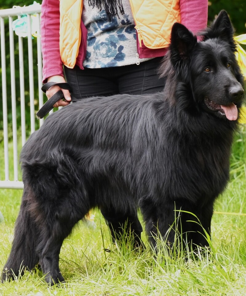 Thornbjörn 2