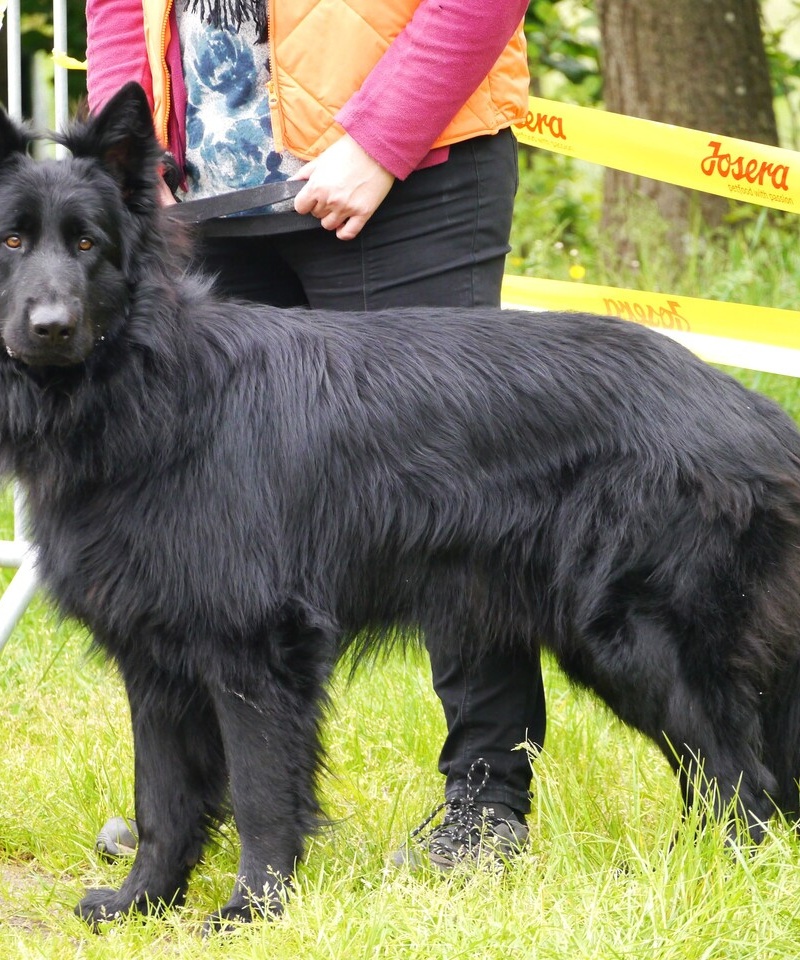Thornbjörn 7