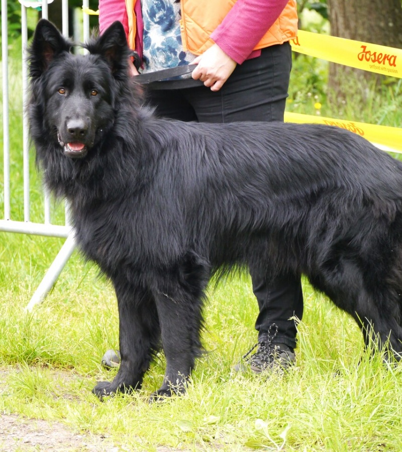 Thornbjörn 8