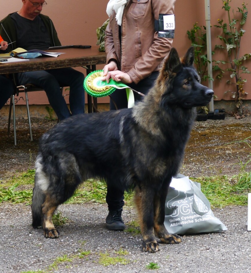 Togo 5