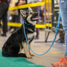 20251115_UCFAS_2048p_10