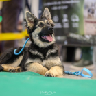 20251115_UCFAS_2048p_11