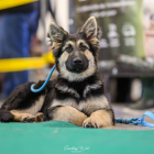 20251115_UCFAS_2048p_12