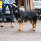 20251115_UCFAS_2048p_120