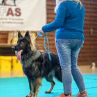 20251115_UCFAS_2048p_121