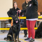 20251115_UCFAS_2048p_124