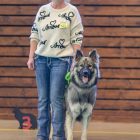 20251115_UCFAS_2048p_128