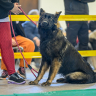 20251115_UCFAS_2048p_130