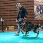 20251115_UCFAS_2048p_131