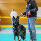 20251115_UCFAS_2048p_133