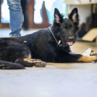 20251115_UCFAS_2048p_134