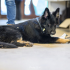 20251115_UCFAS_2048p_135