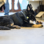 20251115_UCFAS_2048p_136