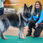 20251115_UCFAS_2048p_138