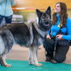 20251115_UCFAS_2048p_139