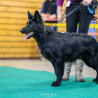 20251115_UCFAS_2048p_14