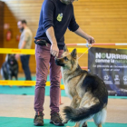 20251115_UCFAS_2048p_140