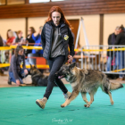 20251115_UCFAS_2048p_142