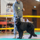 20251115_UCFAS_2048p_143