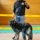 20251115_UCFAS_2048p_145