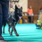 20251115_UCFAS_2048p_146