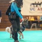 20251115_UCFAS_2048p_149