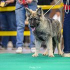 20251115_UCFAS_2048p_15