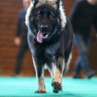 20251115_UCFAS_2048p_153