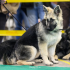 20251115_UCFAS_2048p_16