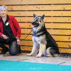 20251115_UCFAS_2048p_164