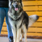 20251115_UCFAS_2048p_165