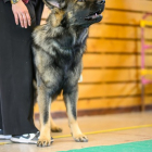 20251115_UCFAS_2048p_166