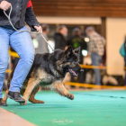 20251115_UCFAS_2048p_169